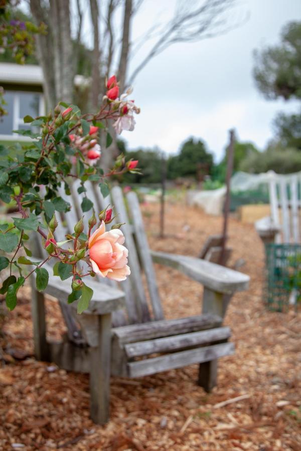 Kereru Cottage Mauku 外观 照片