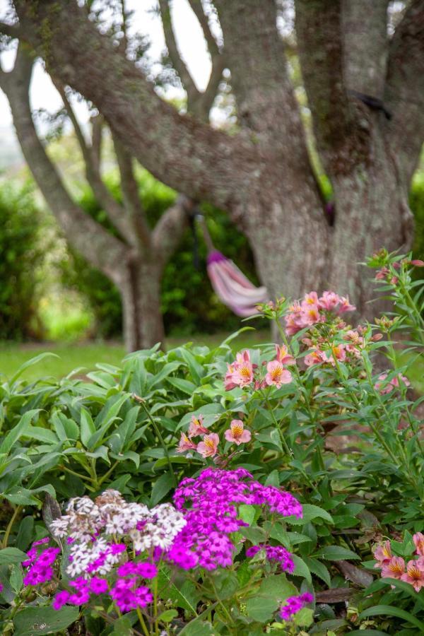 Kereru Cottage Mauku 外观 照片